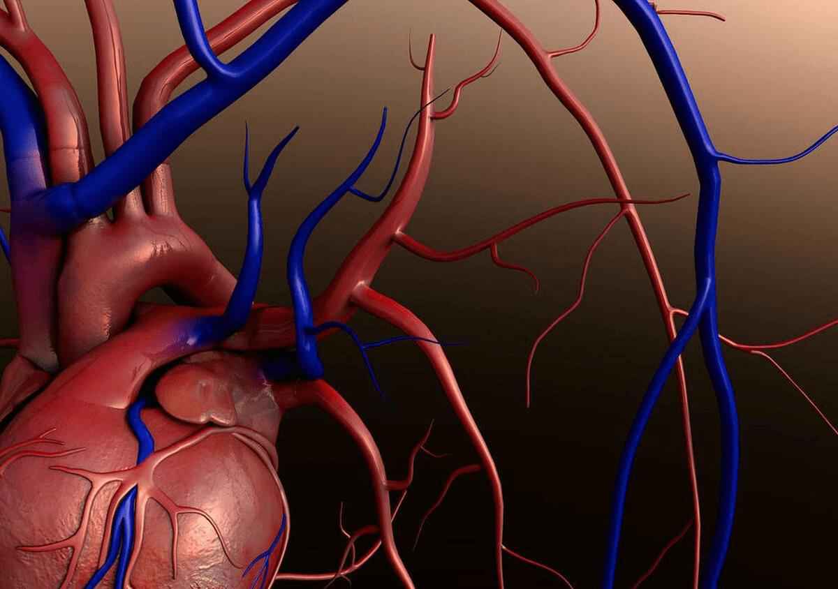 Hầu hết người trẻ tuổi bị nhồi máu cơ tim là nam giới, nguyên nhân rõ mồn một nhưng thường bị bỏ qua - Ảnh 3.