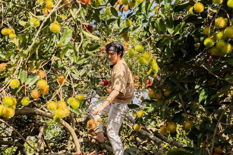 'Đệ nhất mưu sinh': Huy Khánh bị thả giữa rừng cao su, Duy Khánh lạc ở cánh đồng trống không