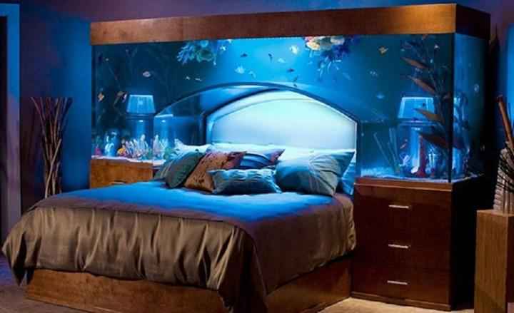 Có nên đặt bể cá trong phòng ngủ?-1