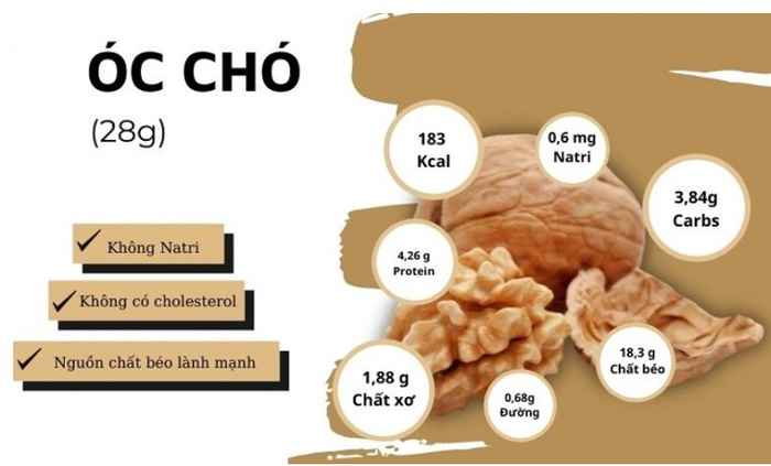 Quả óc chó có tác dụng gì? Cách ăn quả óc chó bổ dưỡng nhất