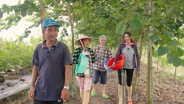 'nong-dân': Thùy Tiên đỏ mặt tía tai đi hái ấu, Misthy bày trò đấu trí nhưng bị 'phốt'