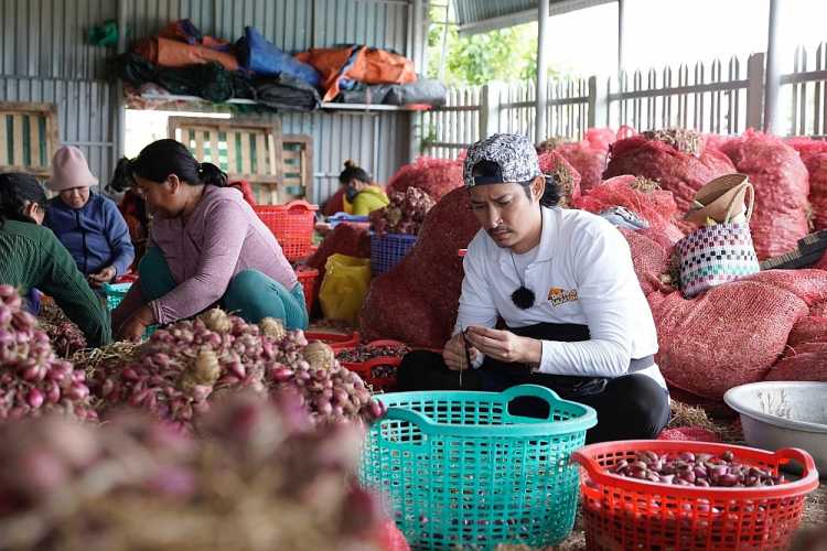 'MC quốc dân' làm khách mời ở 'Đệ nhất mưu sinh'