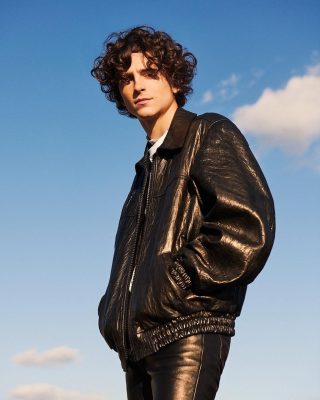 Timothée Chalamet: ‘Ông hoàng’ tương lai của Hollywood?